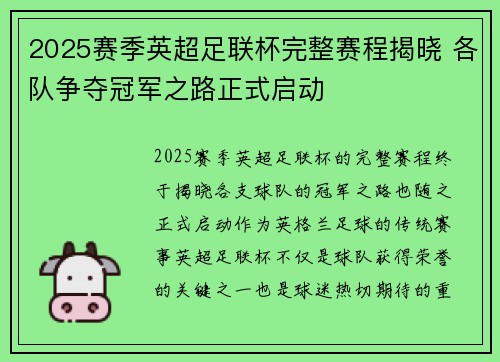 2025赛季英超足联杯完整赛程揭晓 各队争夺冠军之路正式启动